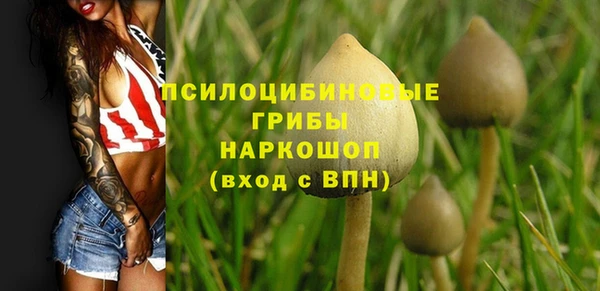 молекула духа Нея