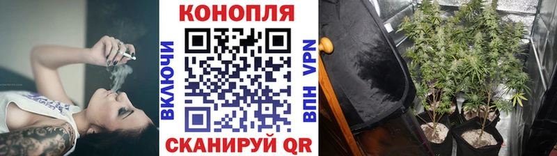кракен маркетплейс Нефтеюганск МАРИХУАНА индика